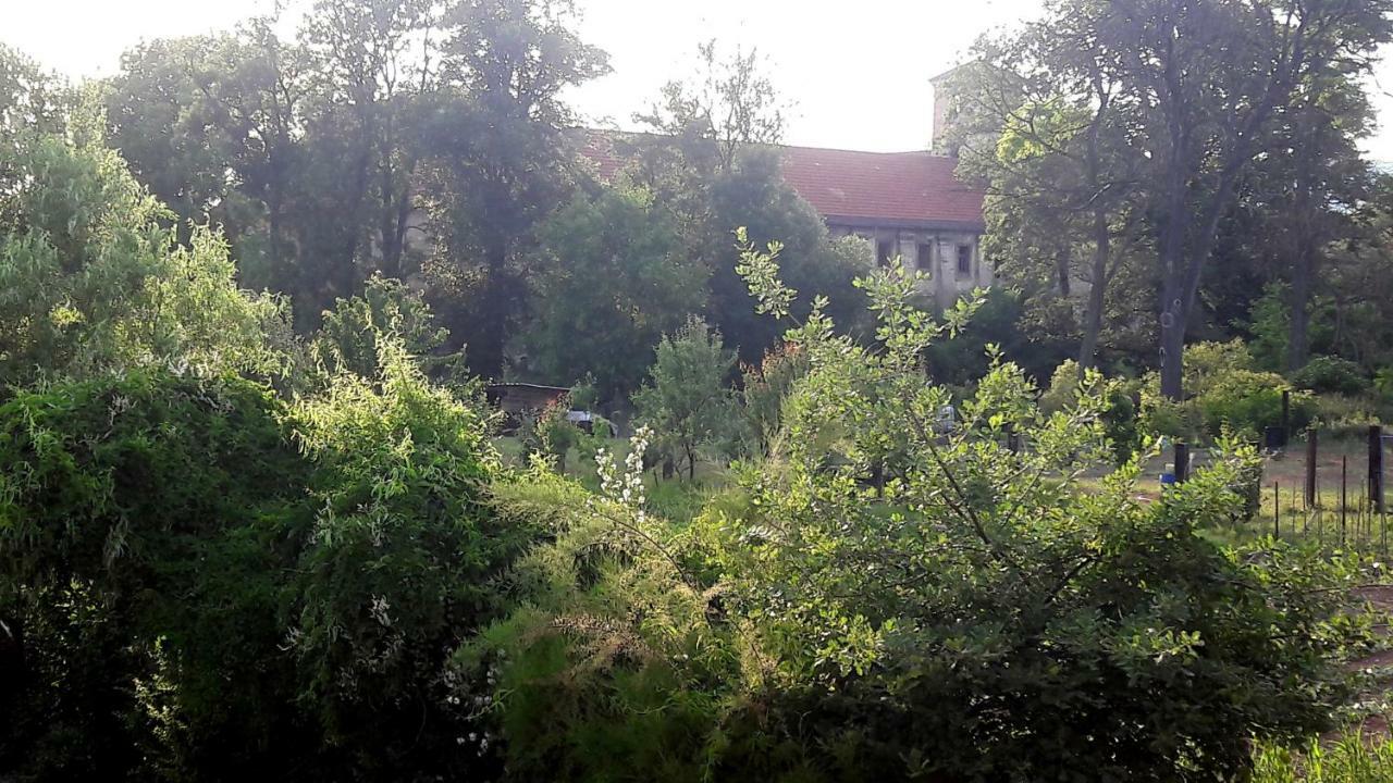 منزل الضيف Litoměřice  في Pivovar Spitt Zahorany المظهر الخارجي الصورة